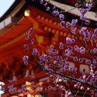 Kasuga Taisha