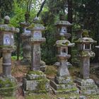 Kasuga taisha