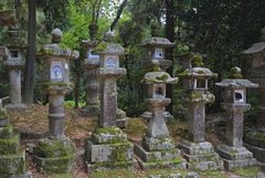 Kasuga taisha