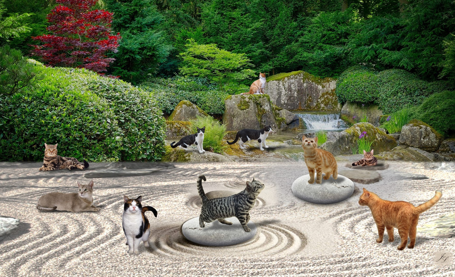 Kat-Zen-Garten