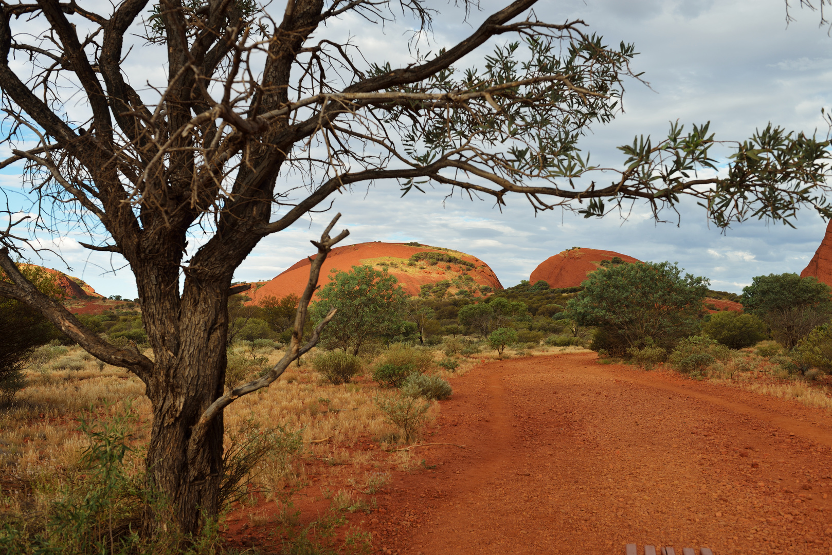 Kata Tjuta 3