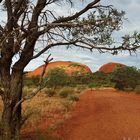 Kata Tjuta 3