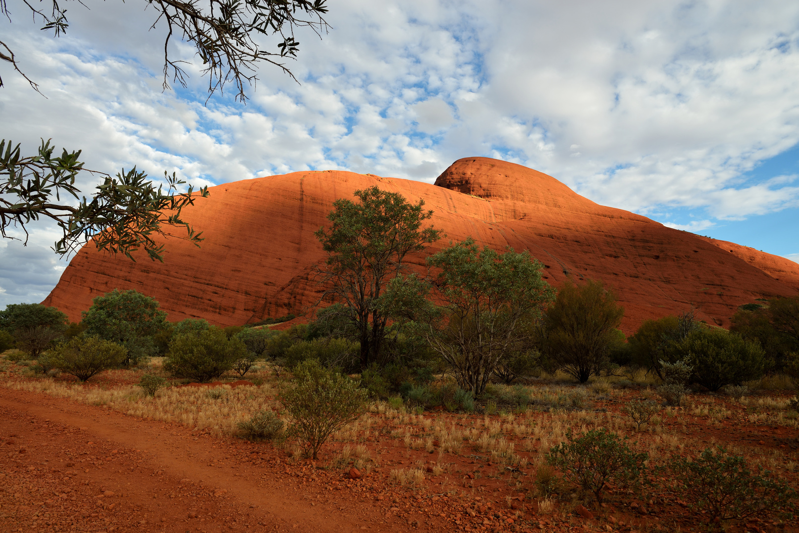 Kata Tjuta 4