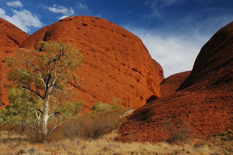 Kata Tjuta