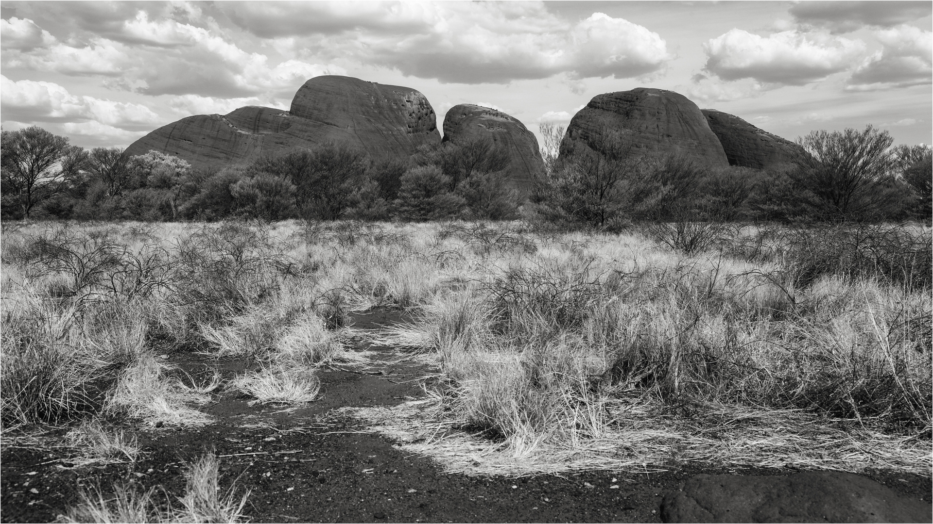 Kata Tjuta