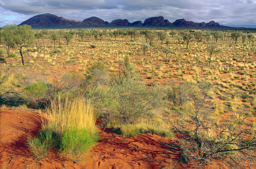 Kata Tjuta, Australien von hks69 