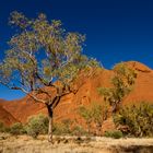 kata tjuta