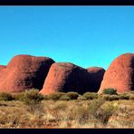 Kata Tjuta (die Olgas)