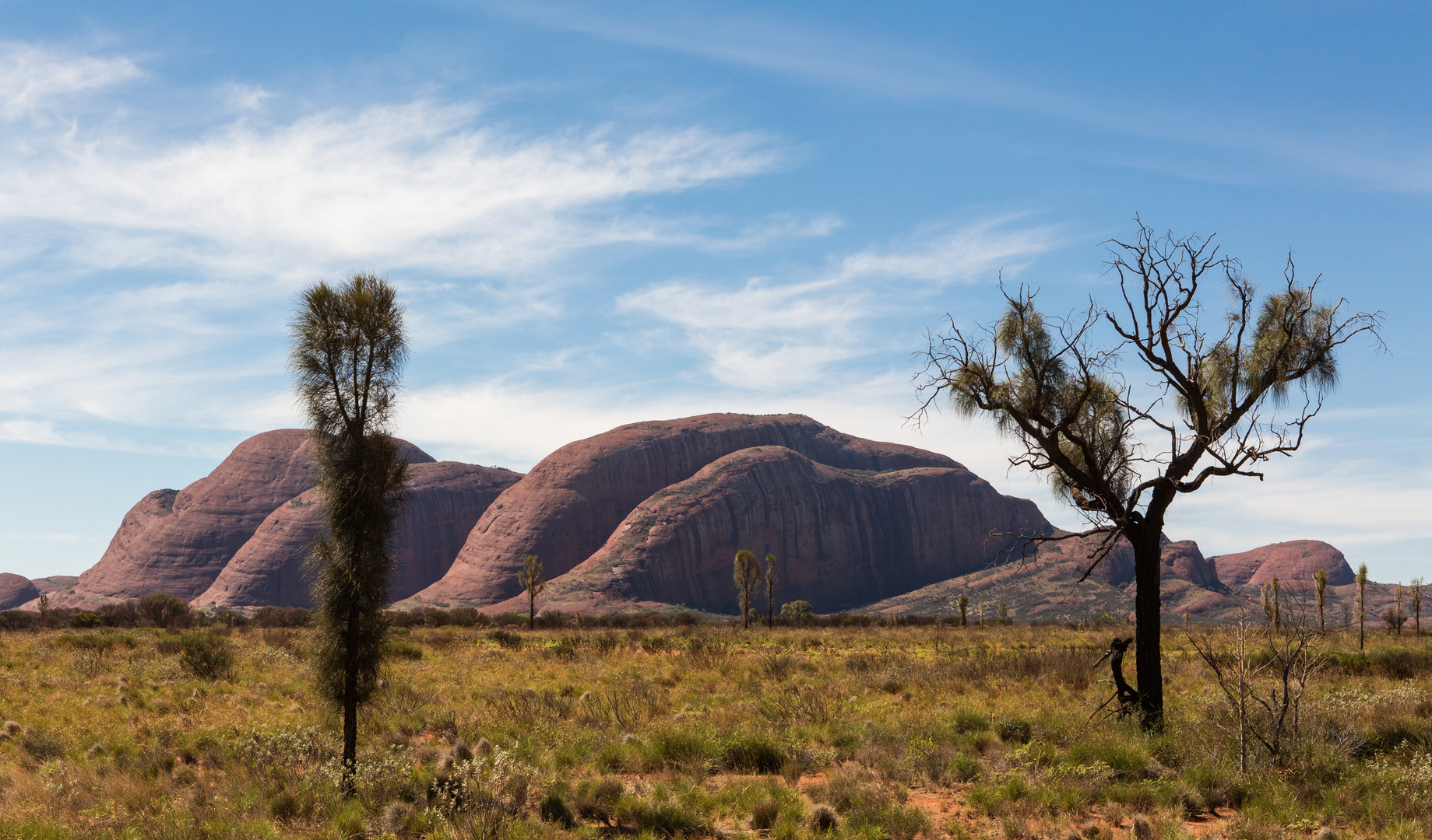 Kata Tjuta...