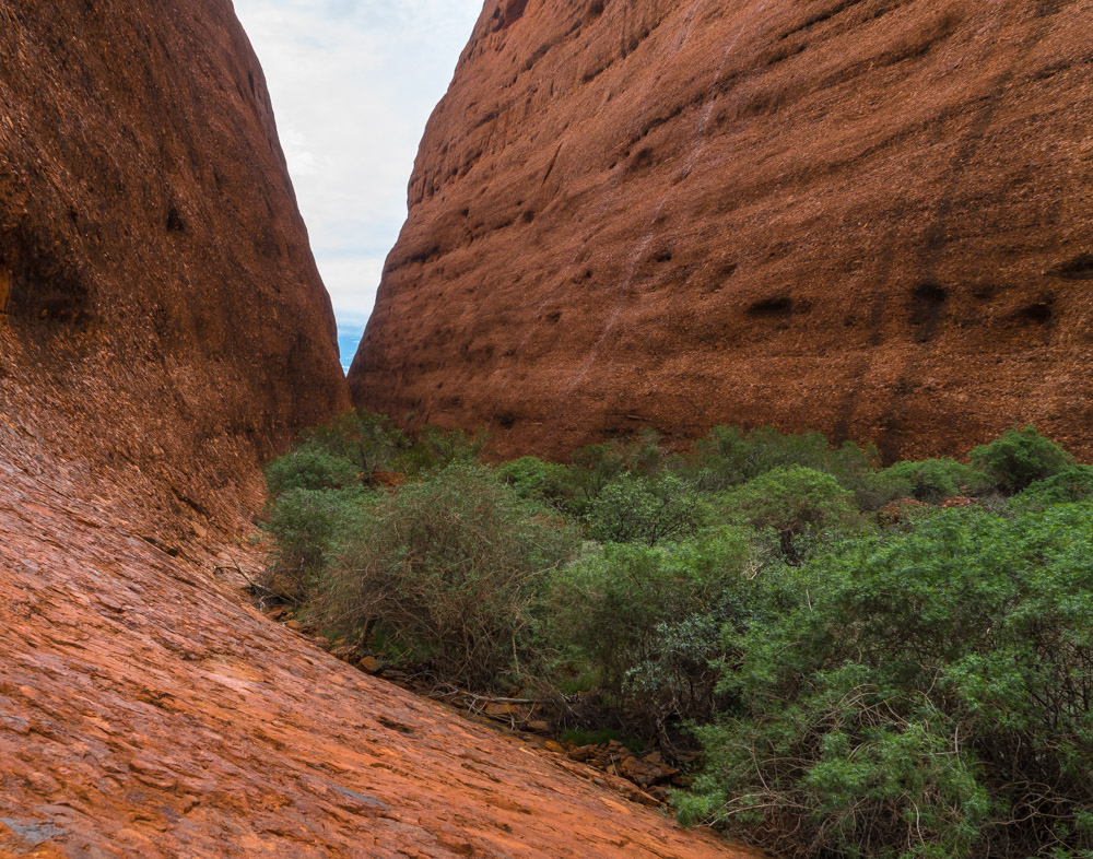 Kata Tjuta - Formen und Farben