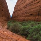 Kata Tjuta - Formen und Farben