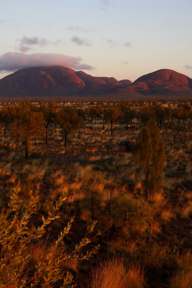 Kata Tjuta im Morgenlicht