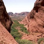 Kata-Tjuta im Outback