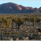 Kata Tjuta im Sonnenaufgang