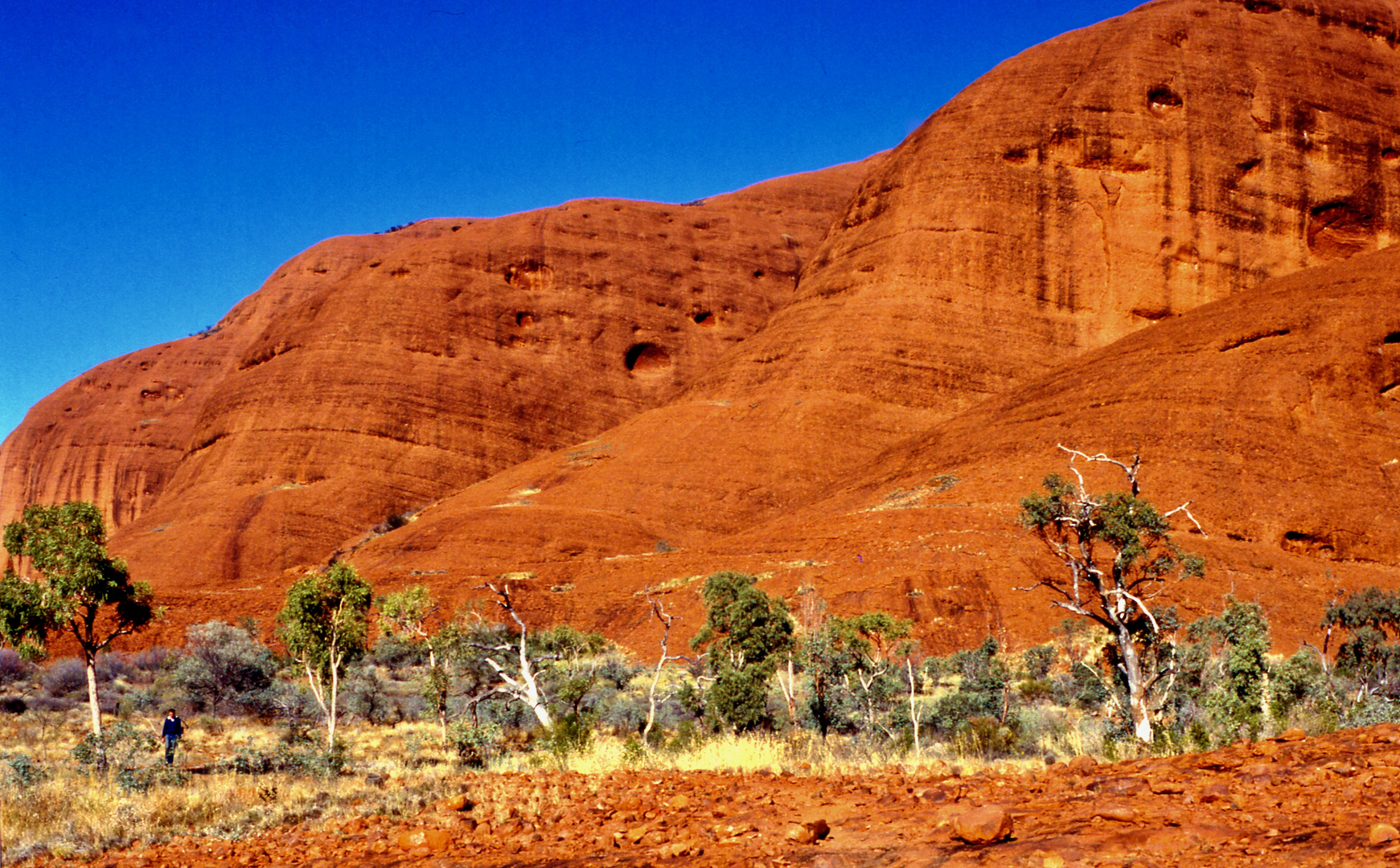 »Kata Tjuta« in Australien 