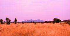 kata tjuta in the sunset