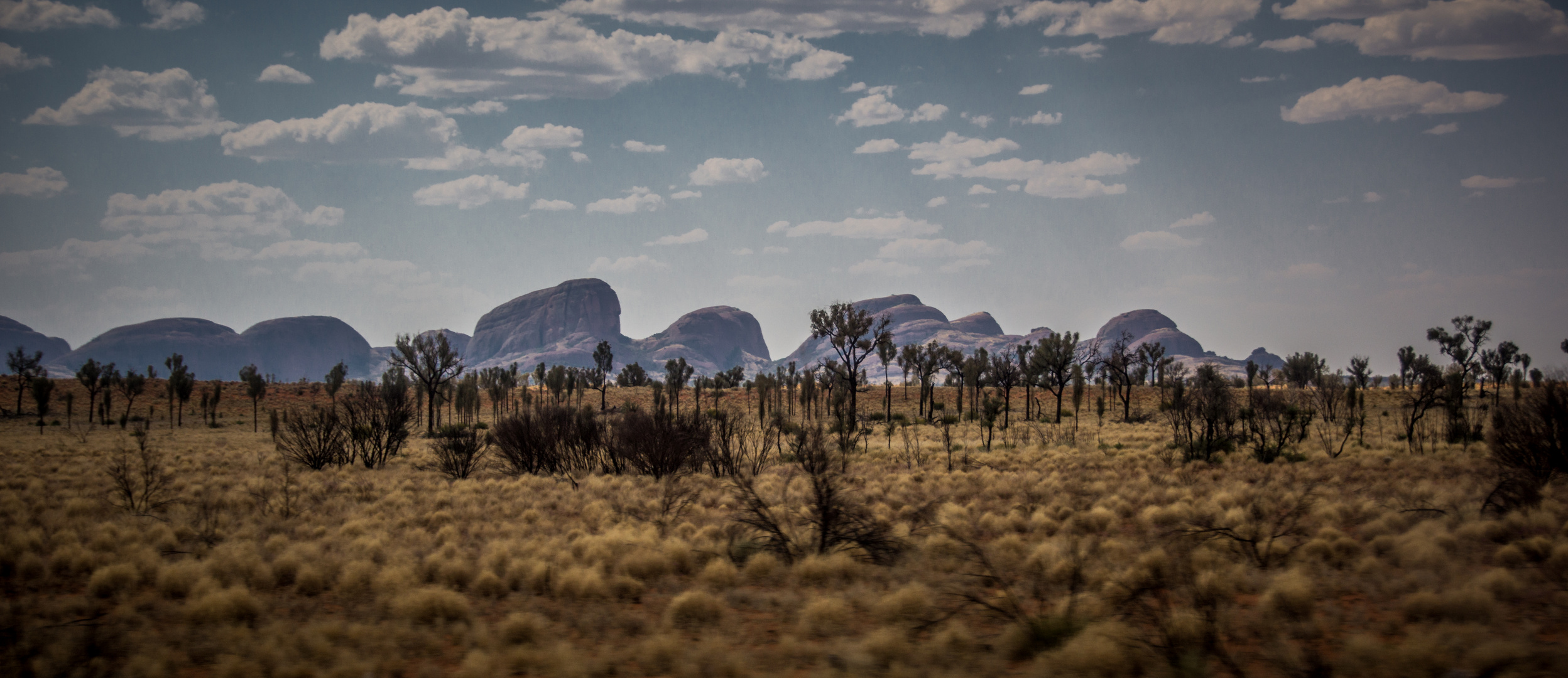 Kata Tjuta, Olgas