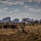 Kata Tjuta, Olgas