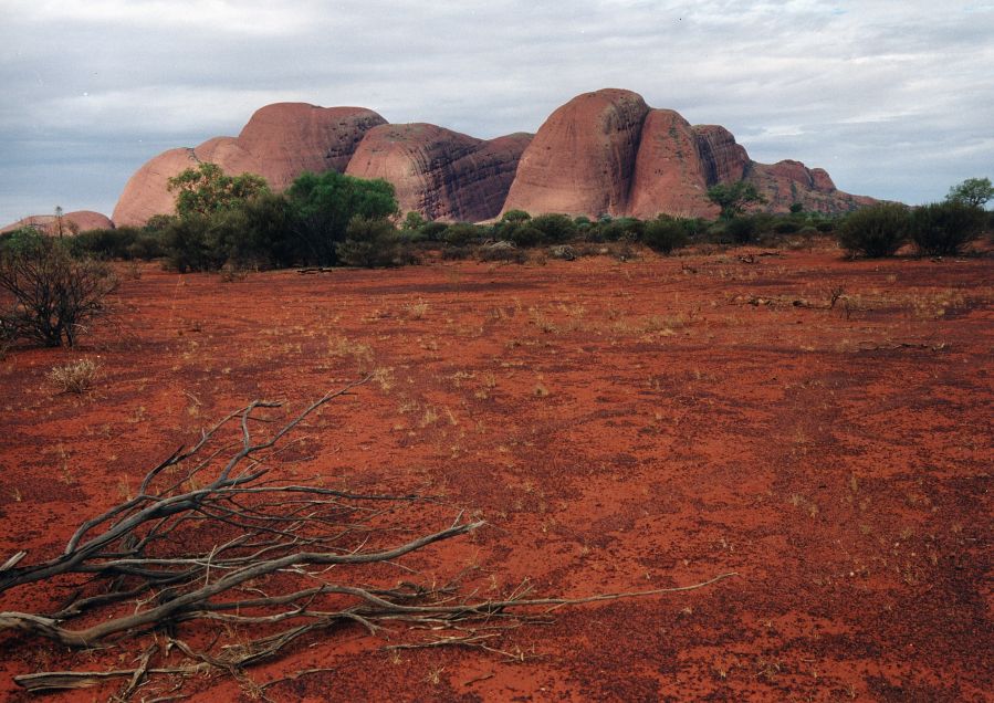 Kata Tjuta (Olgas)