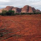 Kata Tjuta (Olgas)