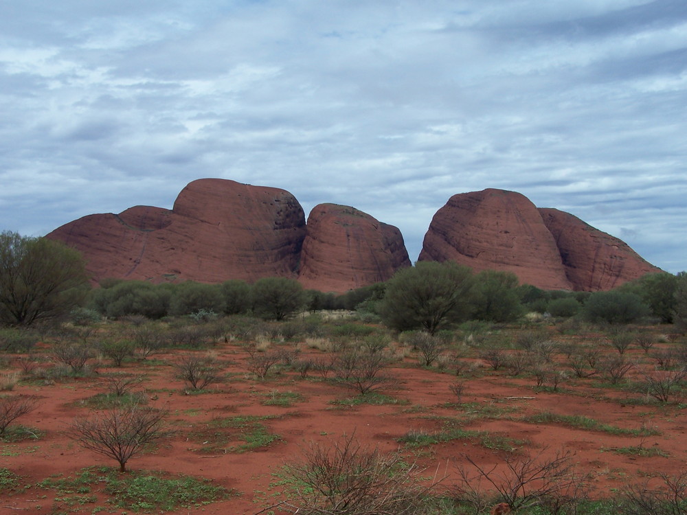 Kata Tjuta (Olgas), Outback