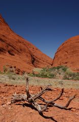 Kata Tjuta/ the Olgas