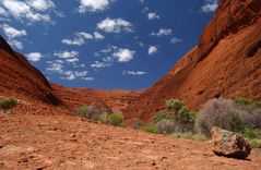 Kata Tjuta/ the Olgas