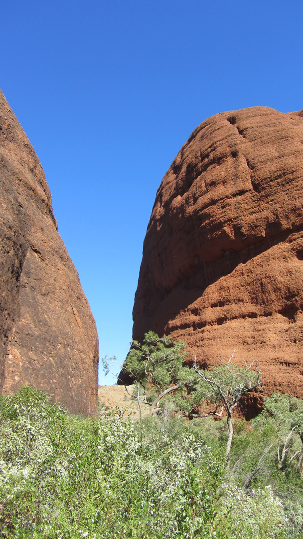 Kata Tjuta VI