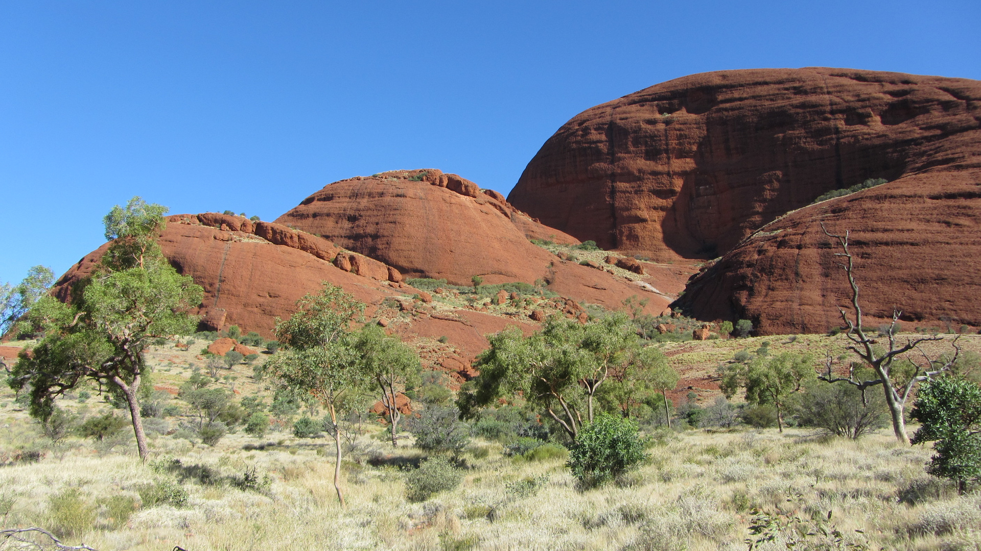 Kata Tjuta VII