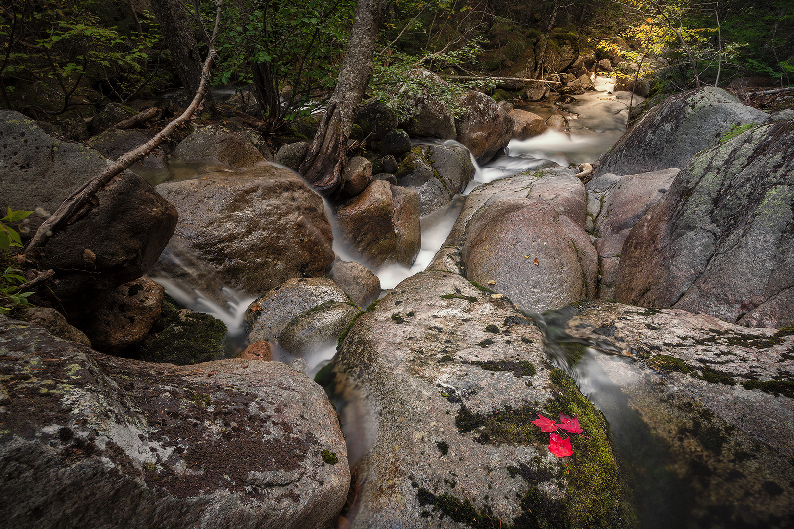 Katahdin Stream, Baxter State Park, Maine