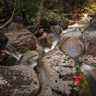 Katahdin Stream, Baxter State Park, Maine