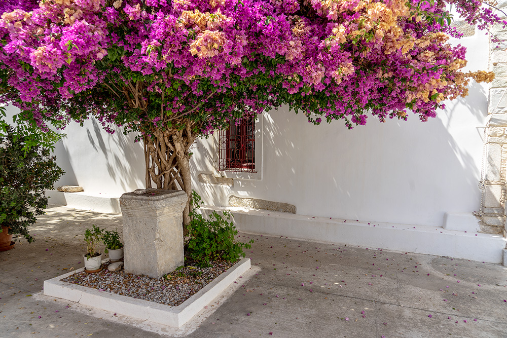 Katapola/Amorgos