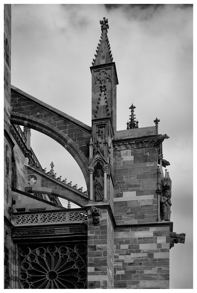 Katedra Freiburg