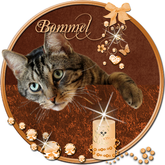 Kater Bommel