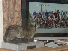 Kater gegen Doping