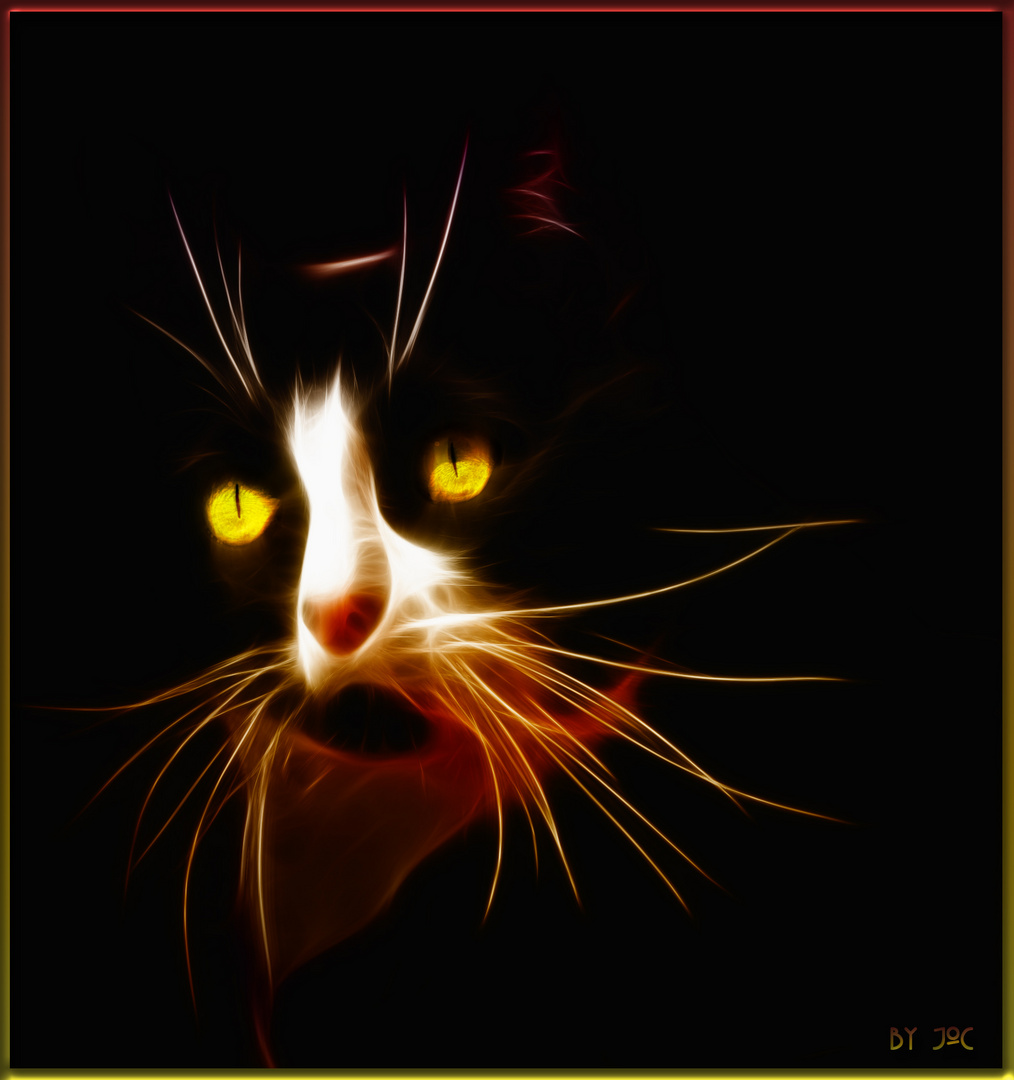 Kater in Fractalius