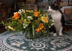 Kater mit Blumenstrauß