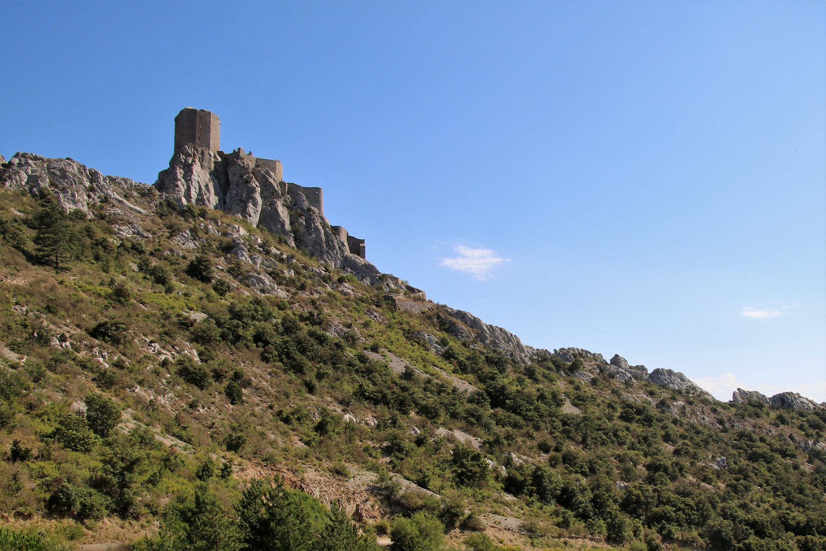 Katharerburg in den Corbières