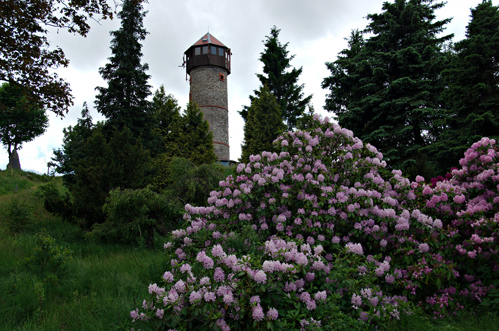 Katharinaberg in Böhmen