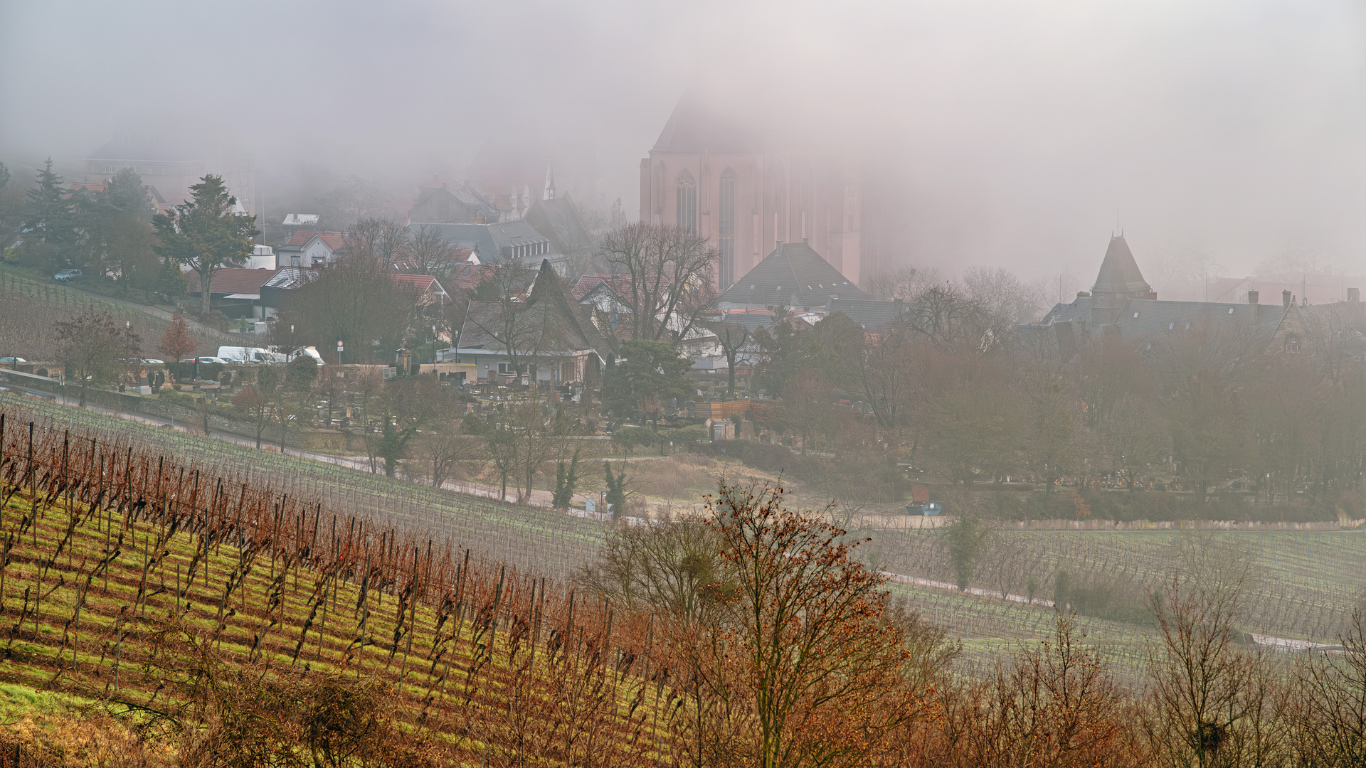 Katharinenkirche im Nebel.