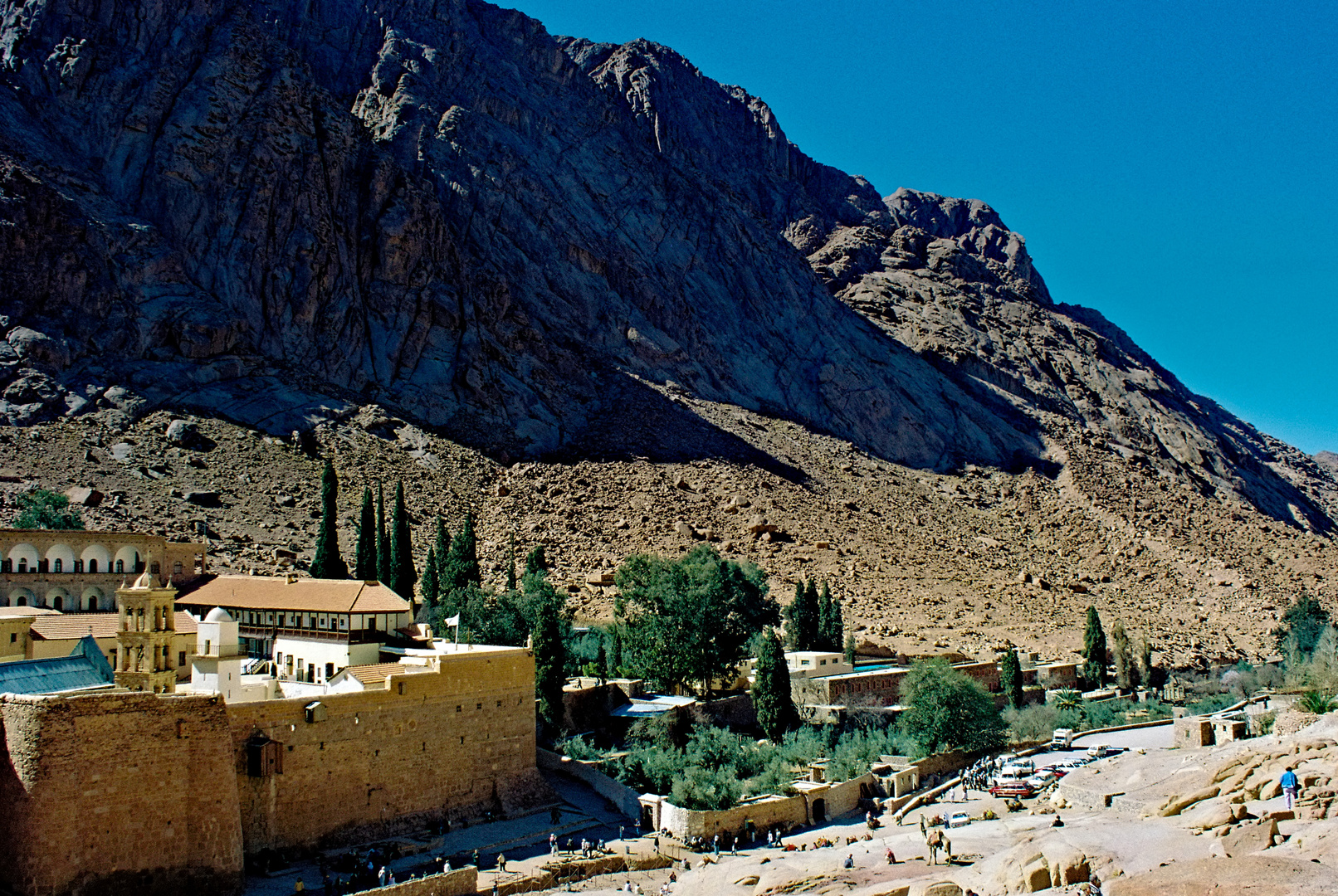 Katharinenkloster mit Klostergarten im Sinai