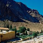 Katharinenkloster mit Klostergarten im Sinai