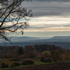 Katharinenlinde-Esslingen