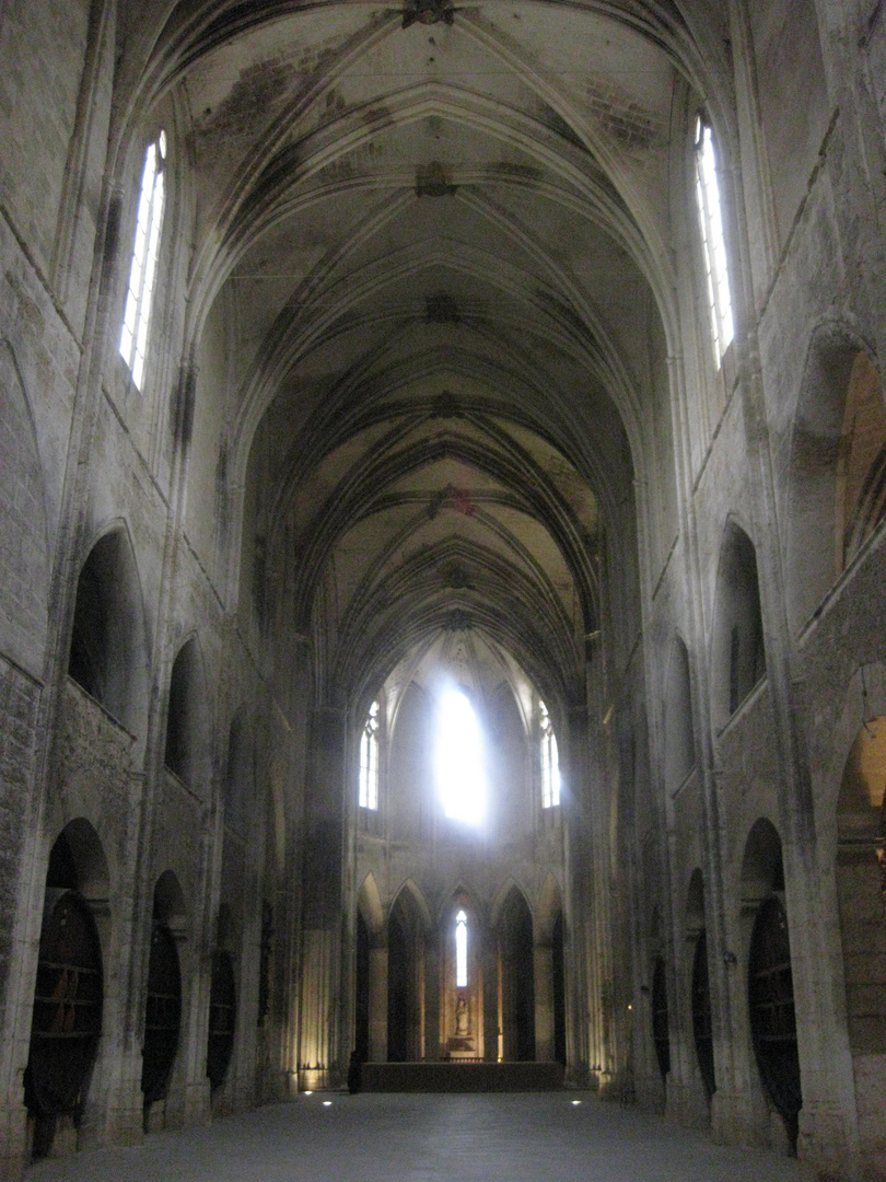 Kathedrale als Weinkeller II