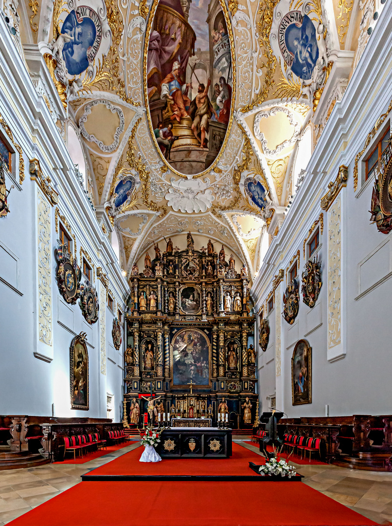 Kathedrale des Hl. Johannes des Täufers - 2 - Trnava