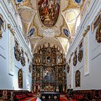Kathedrale des Hl. Johannes des Täufers - 2 - Trnava