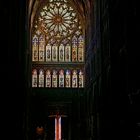 Kathedrale in Metz (4)