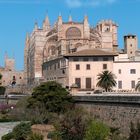 Kathedrale in Palma (1)