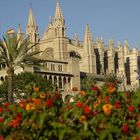 Kathedrale in Palma