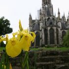 Kathedrale in Rouen, Normandie
